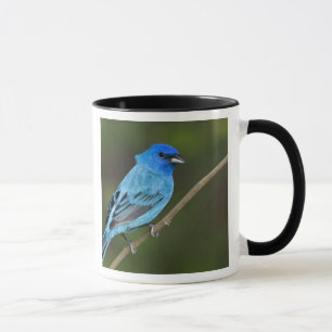 Mug USA, Texas, South Padre Island
