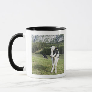 Mug Vache dans un pré, Fie Sciliar Allo, alto l'Adige