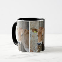 Vache du Jersey/tasse de veau