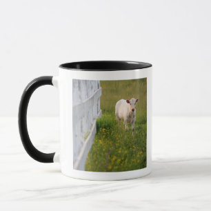 Mug Vaches dans le domaine