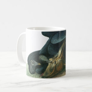 Mug Vautour noir par Audubon