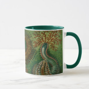 Mug Vers vintages Annelids Chaetopoda par Ernst Haecke