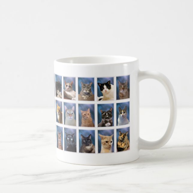 Mug (Version ancienne) The Boring Group Cat Class of 2 (Droite)