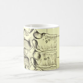 Mug Vertèbres vintages de l'anatomie |