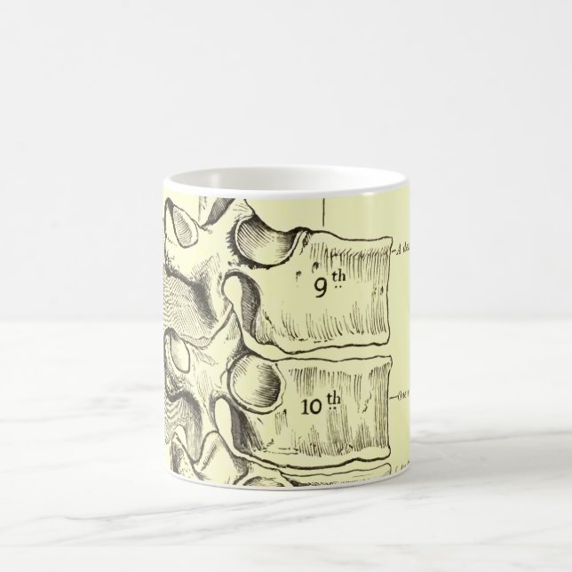Mug Vertèbres vintages de l'anatomie | (Centre)