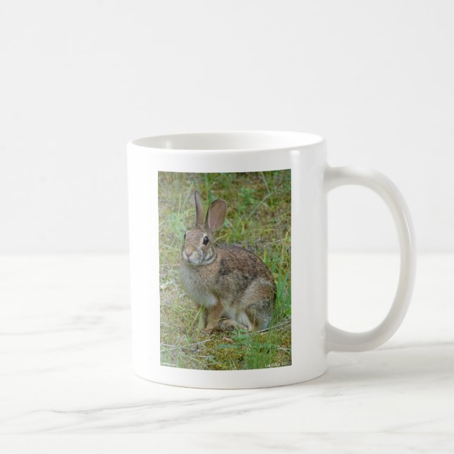 Mug Vêtements et cadeaux de coton de l'Est du lapin sa (Droite)