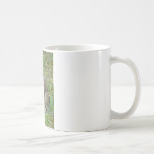 Mug Vêtements et Cadeaux de Lapin de Garenne Oriental