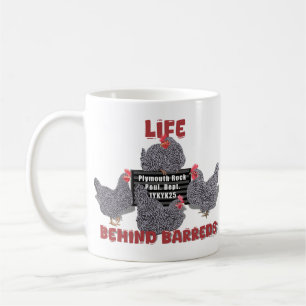 Mug Vie derrière les Barreds (Plymouth Barred Rock Hen