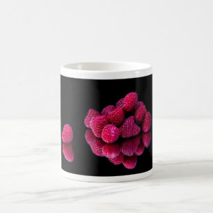 Mug Vie morte framboise
