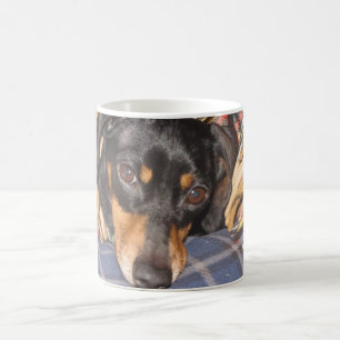 Mug Visage de chien de Daschund Weener