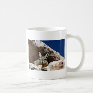 Mug Viscacha bronzer dans le désert d'Atacama Chili