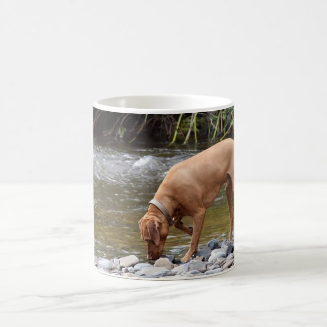 Mug Vizsla par la rivière (Centre)