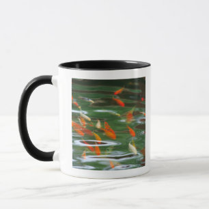 Mug Vue courbe des poissons de merde de koi dans un