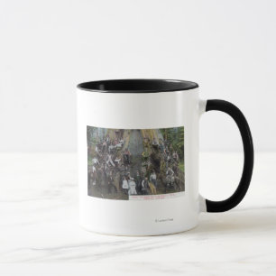 Mug Vue de Boole, le plus grand arbre au monde