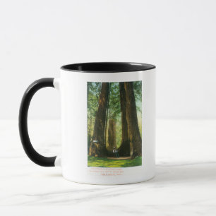 Mug Vue des jumeaux de séquoia au grand verger d'arbre