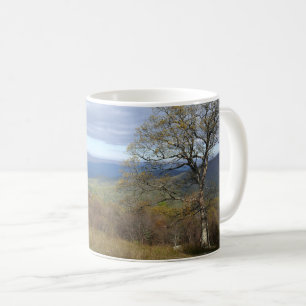 Mug Vue sur les écarts de Thornton au printemps