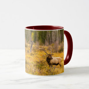 Mug Wapiti mâle Parc national de Rocky Mountain Colo