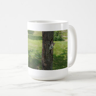 Mug Who Took The Ladder 00