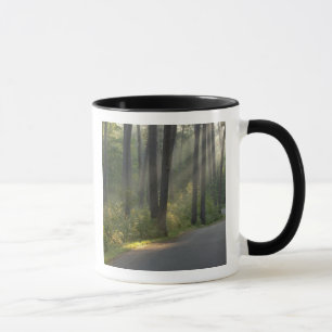 Mug Wilderness Drive, Itasca State Park,