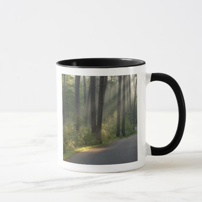 Mug Wilderness Drive, Itasca State Park, (Droite)