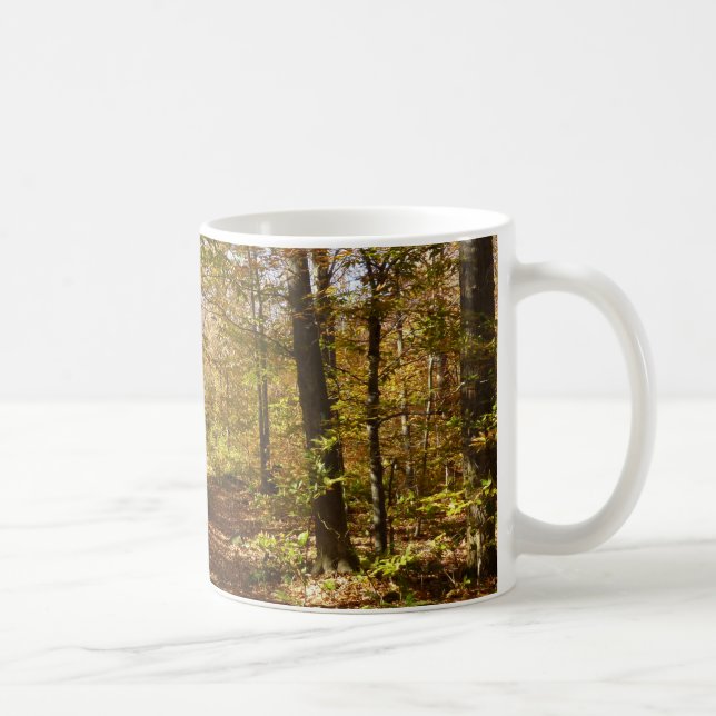 Mug Wolf Rocks Trail en automne Pennsylvanie Paysage (Droite)