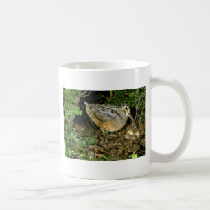 Mug Woodcock américain avec des oeufs