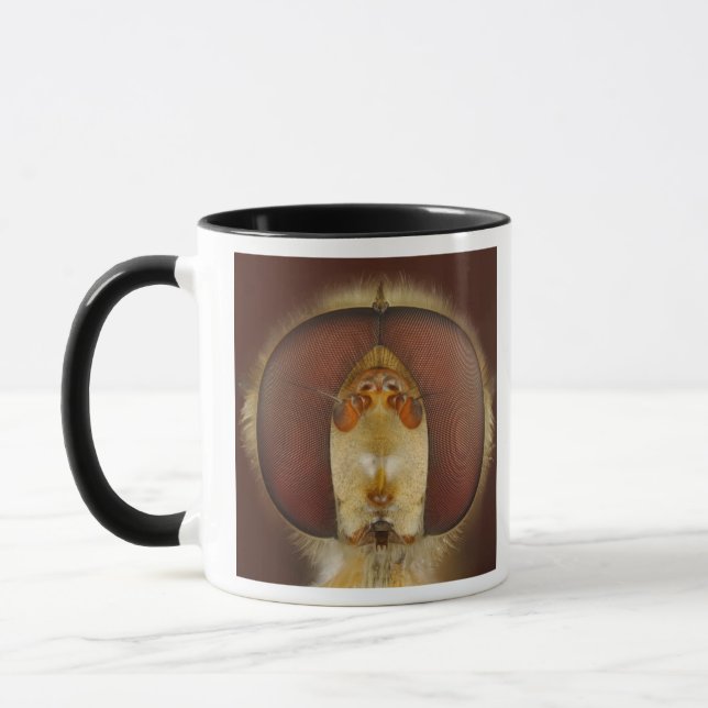 Mug Yeux principaux et composés d'une mouche de vol (Gauche)