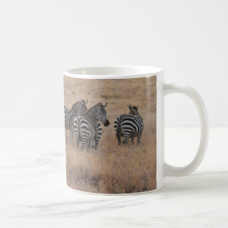 Mug Zèbre au Kenya