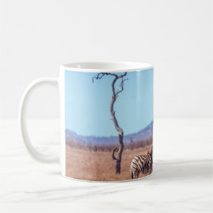 Mug Zèbre des plaines dans le parc national de Kruger,