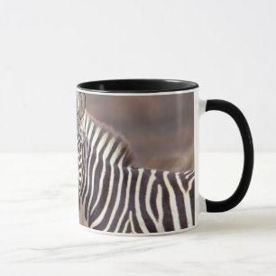 Mug Zèbres des plaines, Parc national Kruger