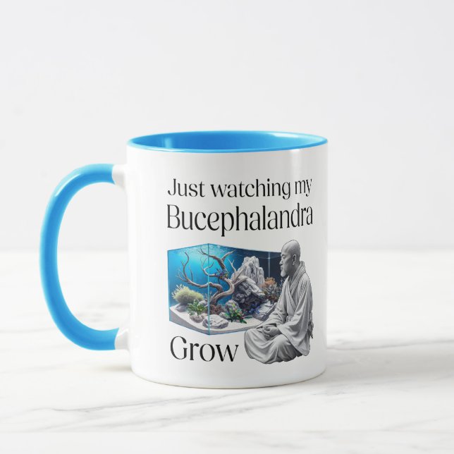Mug Zen and Bucephalandra (Gauche)