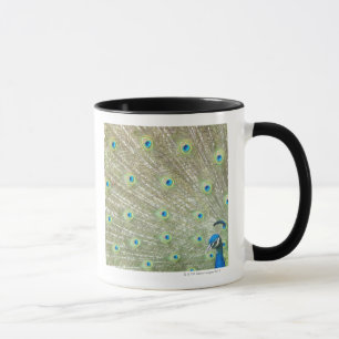 Mug Zoo de Johannesburg, province de Gauteng, Afrique