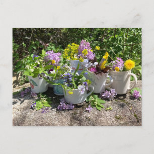 Muggy carte postale été dh2022