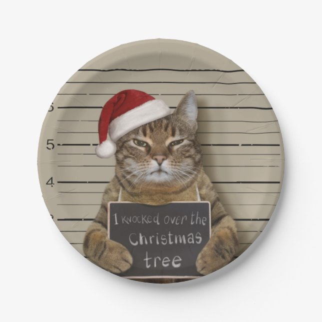 Mugshot Cat Christmas Pappteller (Vorderseite)