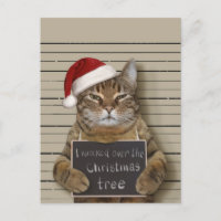 Mugshot Cat Christmas