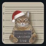 Mugshot Cat Christmas Quadratischer Aufkleber<br><div class="desc">Katzenjungweihnachtsfeste,  santa-adorable Gangster-Feiertag,  fröhlicher Claus im Dezember Spaß,  dass Weihnachten cooler Diebstahl,  schuldige Weihnachtsfeier,  niedlicher Kriminalitätsverdächtiger,  illegales gewollt kriminelles Haustier,  Tiergefangenpolizei,  Orangengefängnis,  Mugshot Cat Kitten Weihnachten, </div>