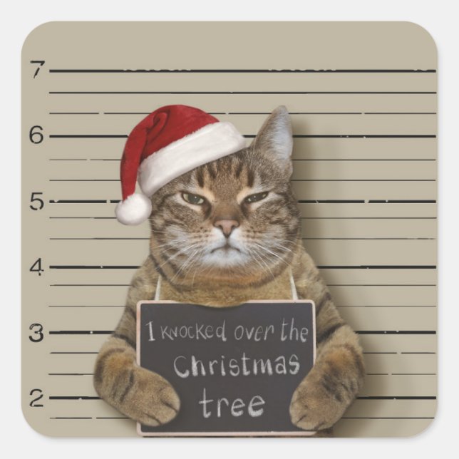 Mugshot Cat Christmas Quadratischer Aufkleber (Vorderseite)