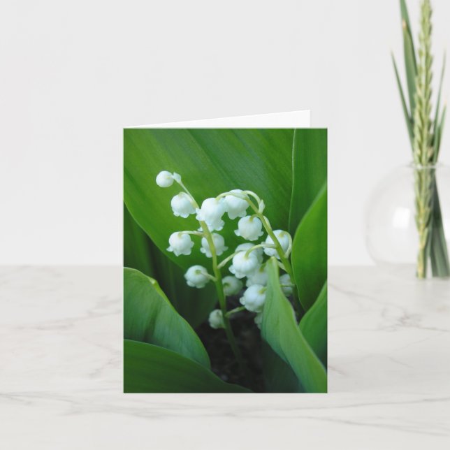 Muguet Karte (Vorderseite)