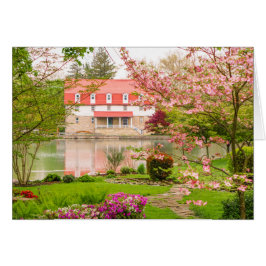 Mühle im Frühjahr mit Teich