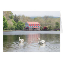 Mühle im Sommer mit 2 Schwänen im Teich