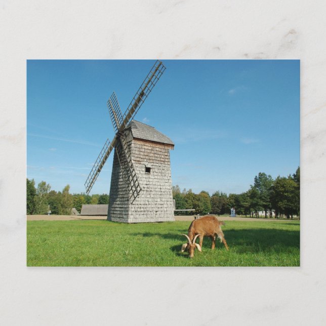 Mühle und Ziege - Postkarte (Vorderseite)
