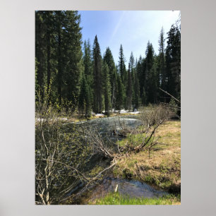 Muir Creek, Oregon Poster