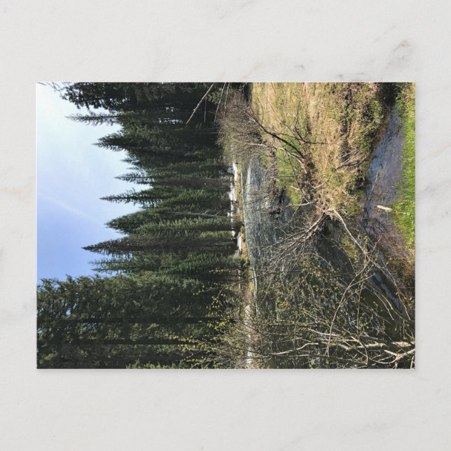 Muir Creek, Oregon Postkarte (Vorderseite)