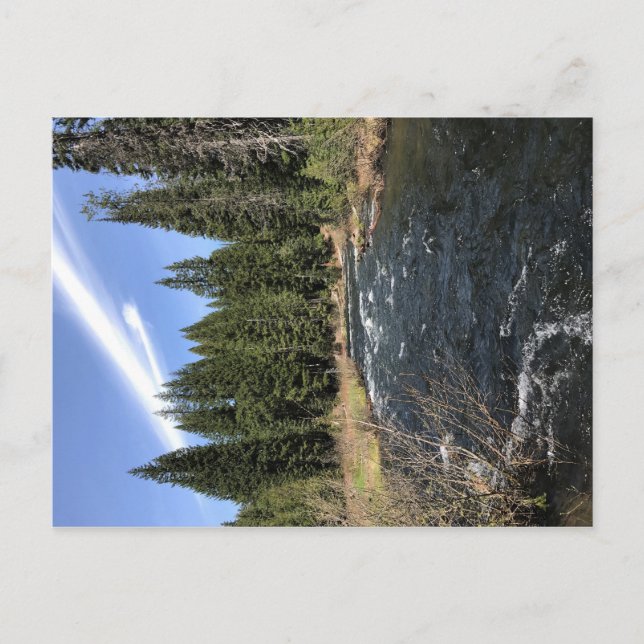 Muir Creek, Oregon Postkarte (Vorderseite)