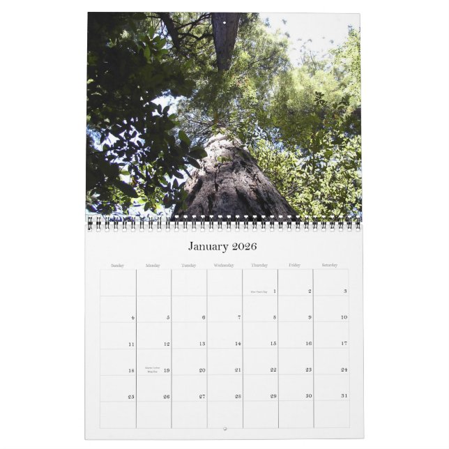 Muir Holz-Kalender Kalender (Jan 2026)