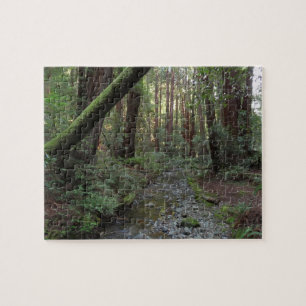 Muir Woods Bach Waldlandschaft