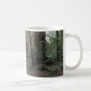 Muir Woods Bach Waldlandschaft Kaffeetasse