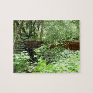 Muir Woods Bridge I