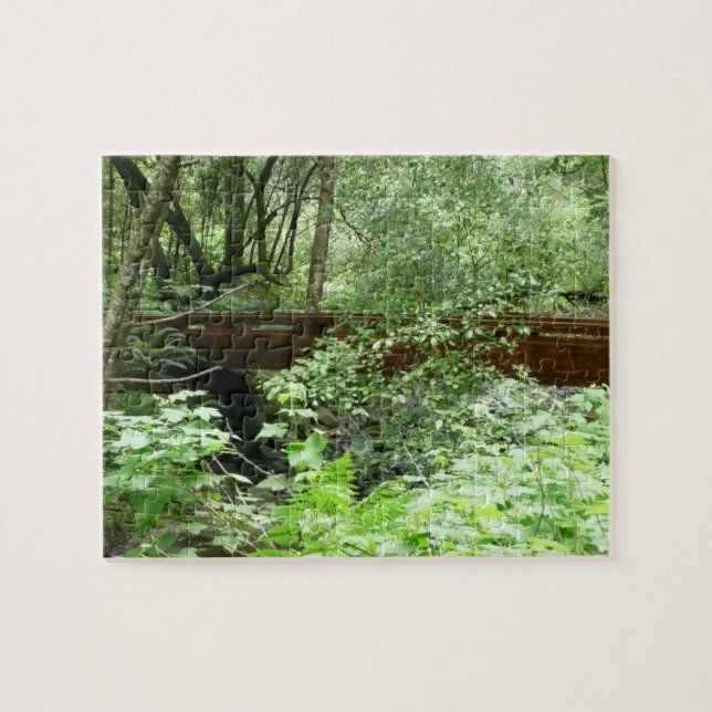Muir Woods Bridge I (Horizontal)