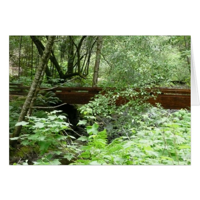 Muir Woods Bridge I (Vorderseite (Horizontal))